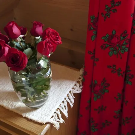 Homestay szállás U Burnosow *